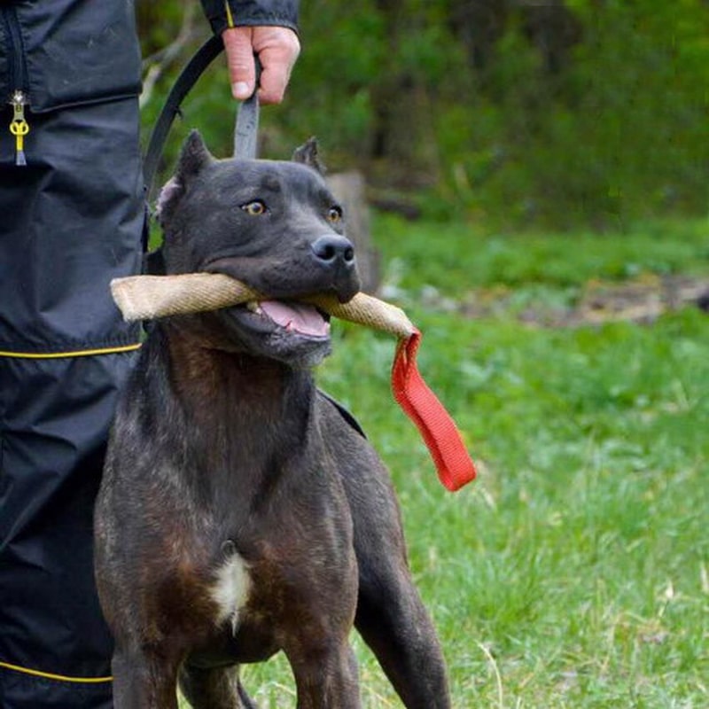 Длинная кусалка из джута для дрессировки питбуля «Dog attacks»